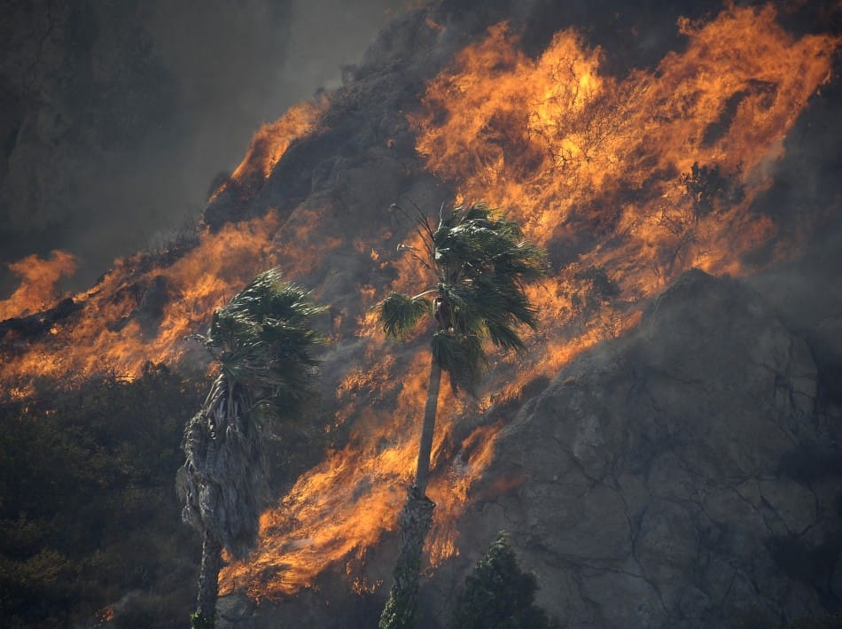 Wildfire Rages Across Malibu, Forcing Thousands to Flee