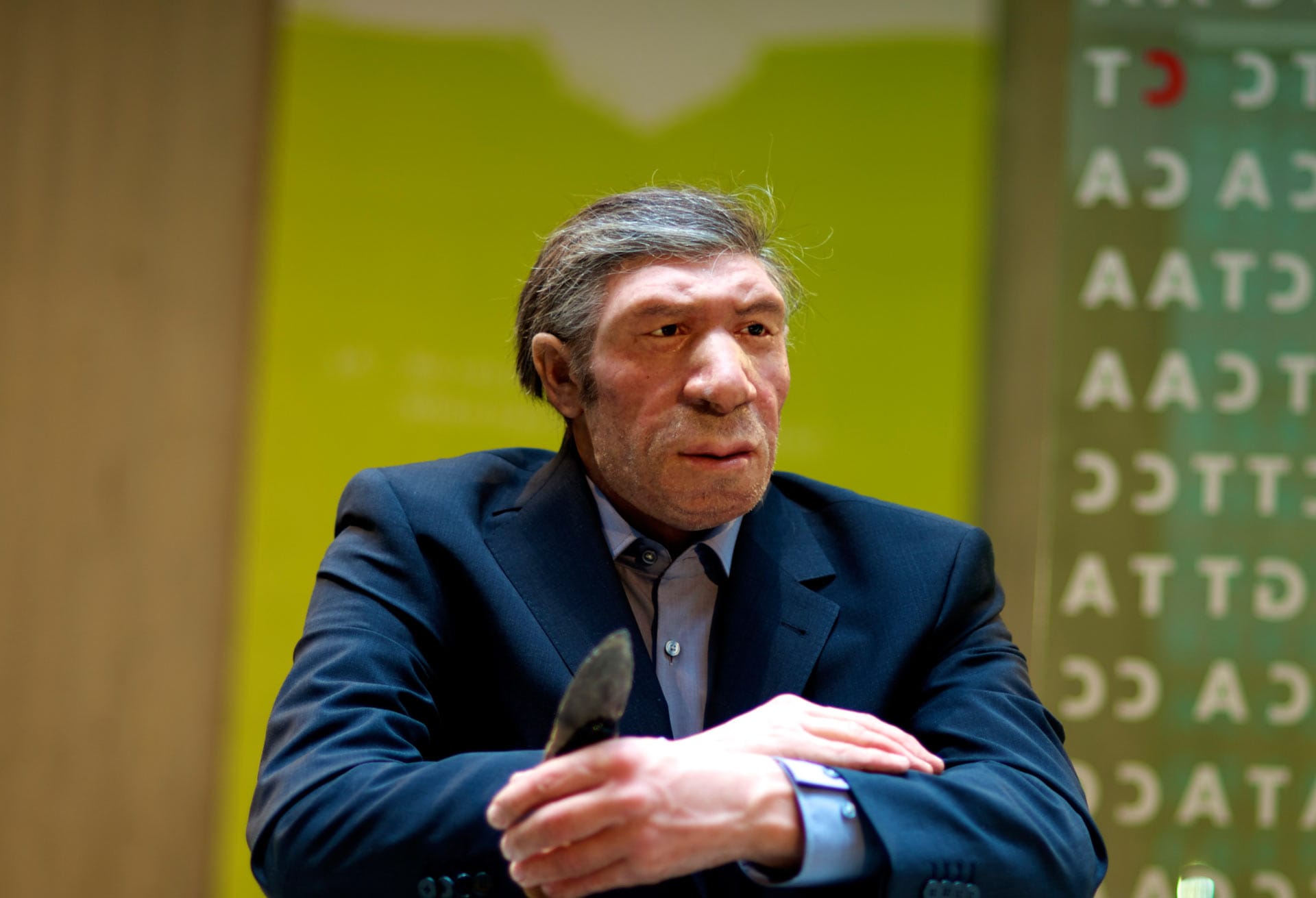 Ancient DNA Reveals Timing of Interbreeding Between Early Humans and Neanderthals