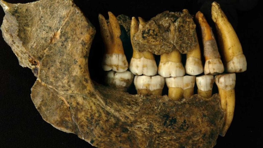 New Insights into Human-Neanderthal Interbreeding 47,000 Years Ago