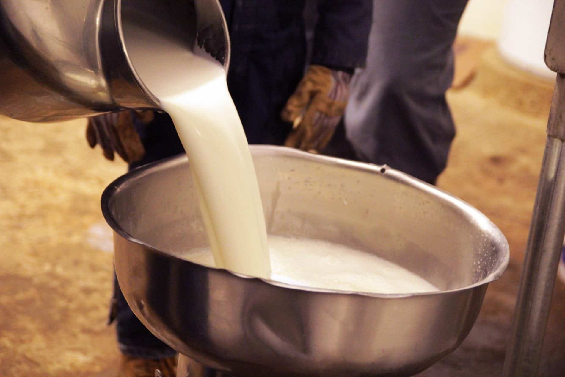 California Sees Increase in Illnesses Linked to Raw Milk Consumption: Health Expert Insights on Associated Risks