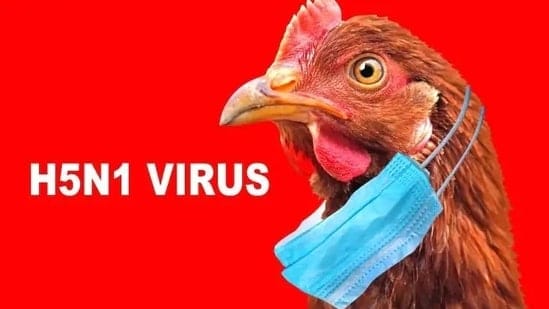 Bird Flu: A Looming Public Health Crisis
