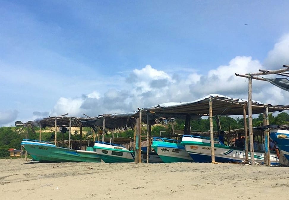 Devastating Waves Claim Life in Ecuador and Prompt Port Closures in Peru