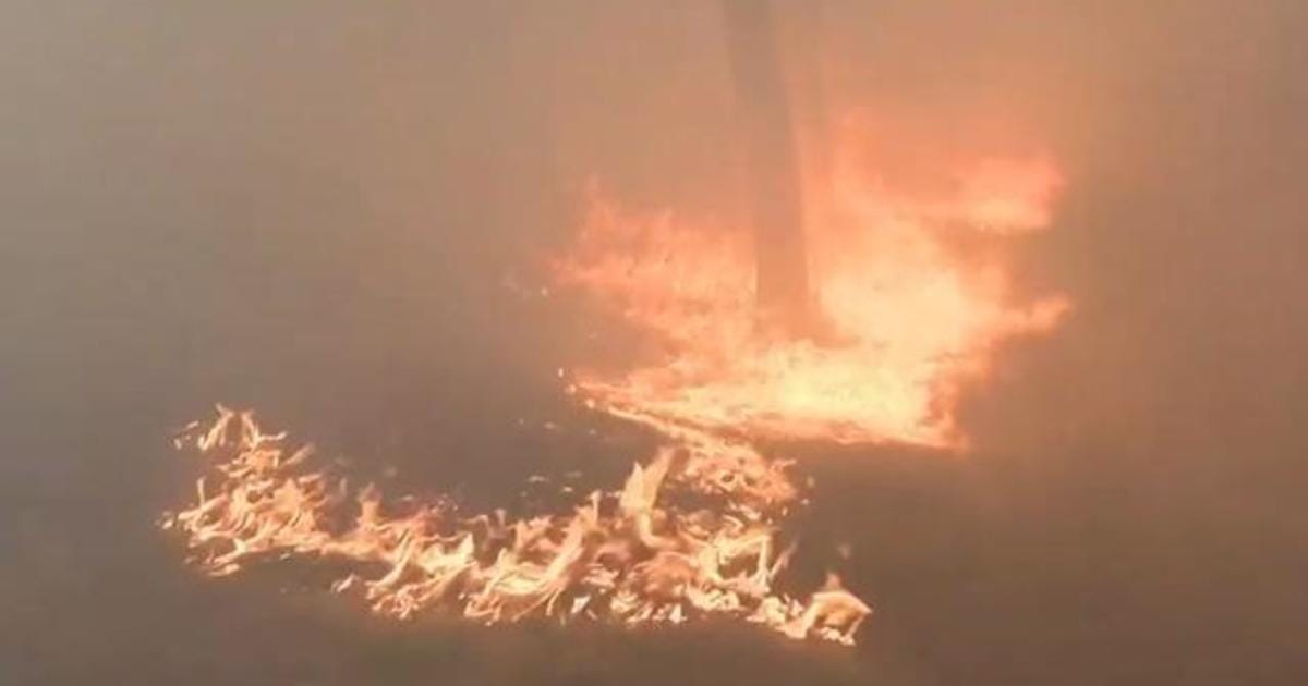 California Wildfires Claim 24 Lives as Authorities Brace for Intensified Winds