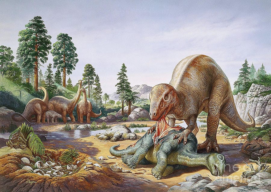 Discovery of Unidentified Dinosaur Species from WWII Era Fossils
