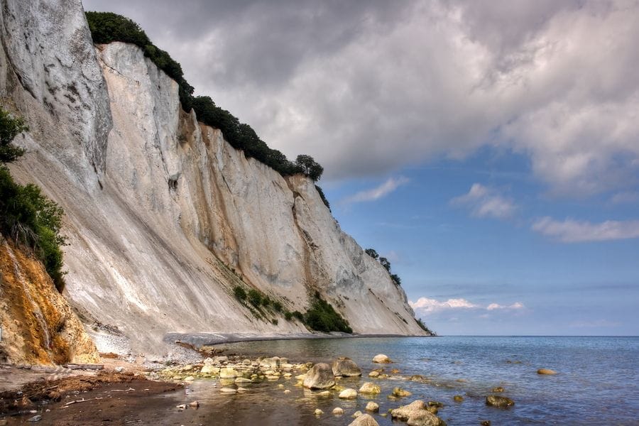 Prehistoric Fossil Discovery: 66 Million-Year-Old Vomit Uncovered in Denmark