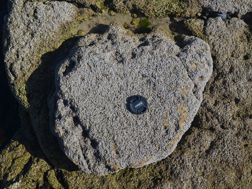 Discovery of the Largest Dinosaur Footprint Site in the UK Sparks Excitement Among Scientists