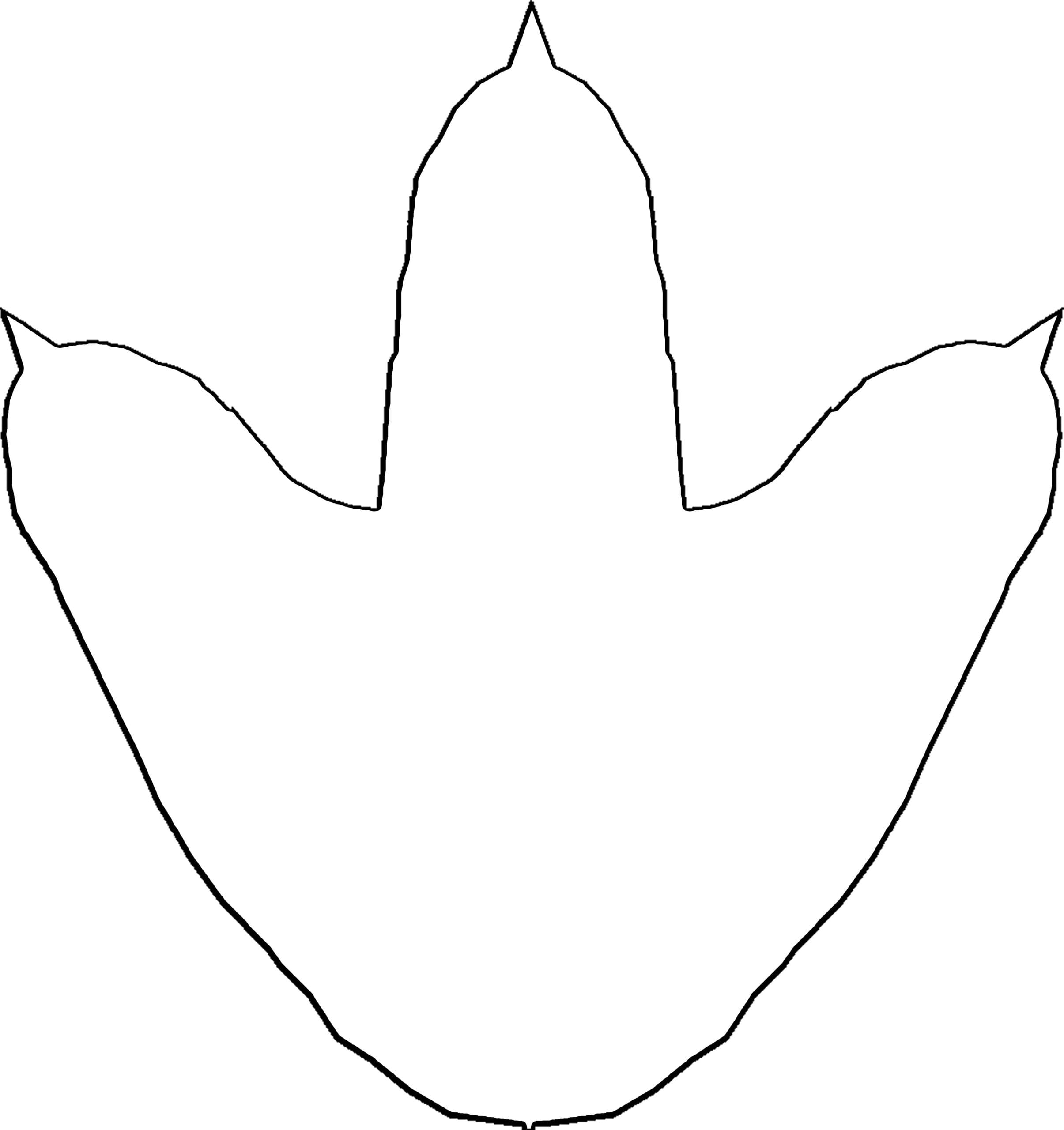 Ancient Dinosaur Footprint Pathway Unearthed in England