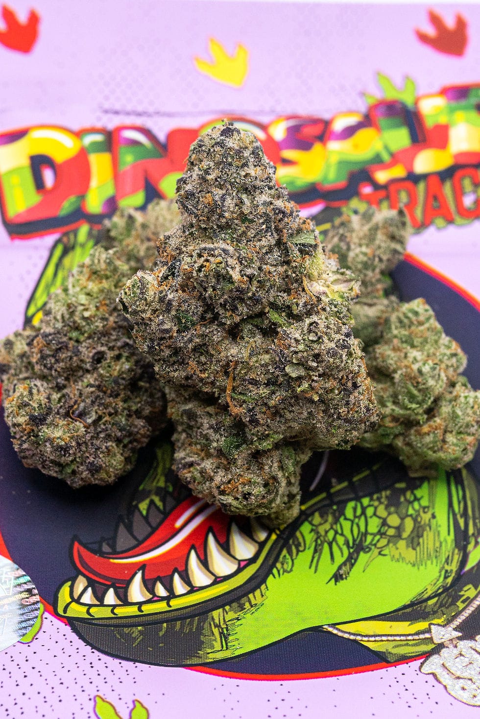 Ancient Dinosaur Tracks Discovered in the UK, Dating Back 166 Million Years