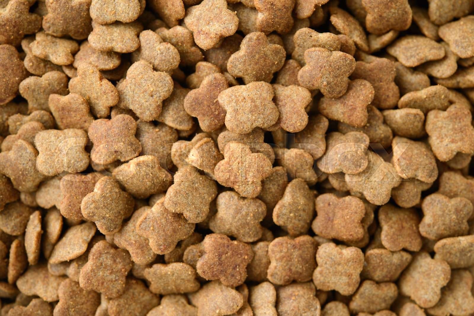 Government Documents Reveal Department of Agriculture’s Misleading Statements on Raw Pet Food and Avian Flu Risks