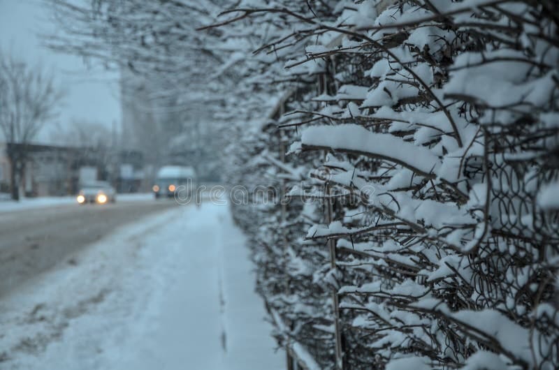 Unusual Snowfall Hits Cities Typically Free of Winter Weather