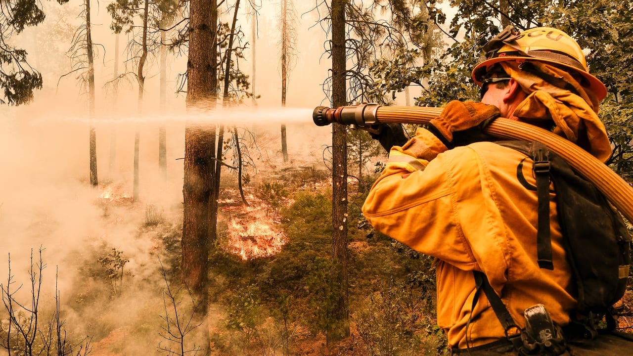 Mexico Dispatches Firefighting Crews to Assist California in Combating Destructive Wildfires