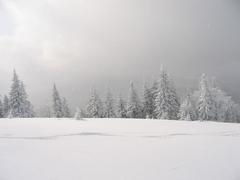 Heavy Winter Storm to Impact Plains to Mid-Atlantic with Snow and Ice