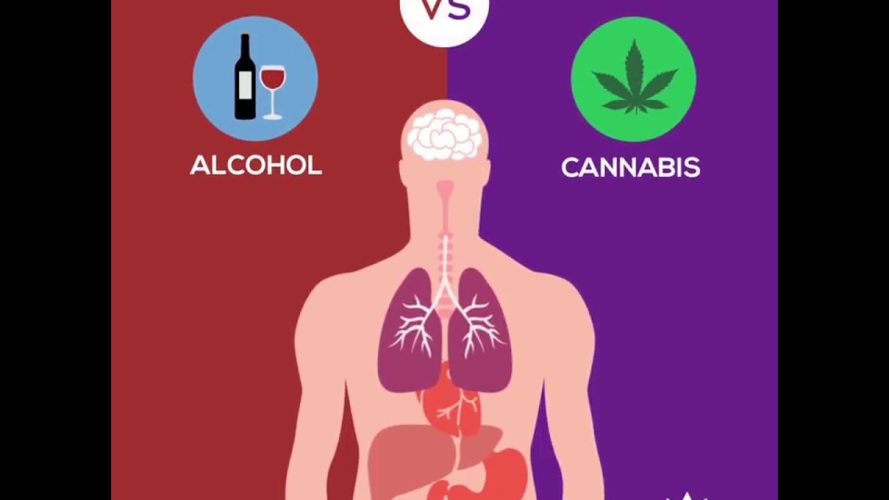 Alcohol vs. Cannabis: An Objective Health Analysis
