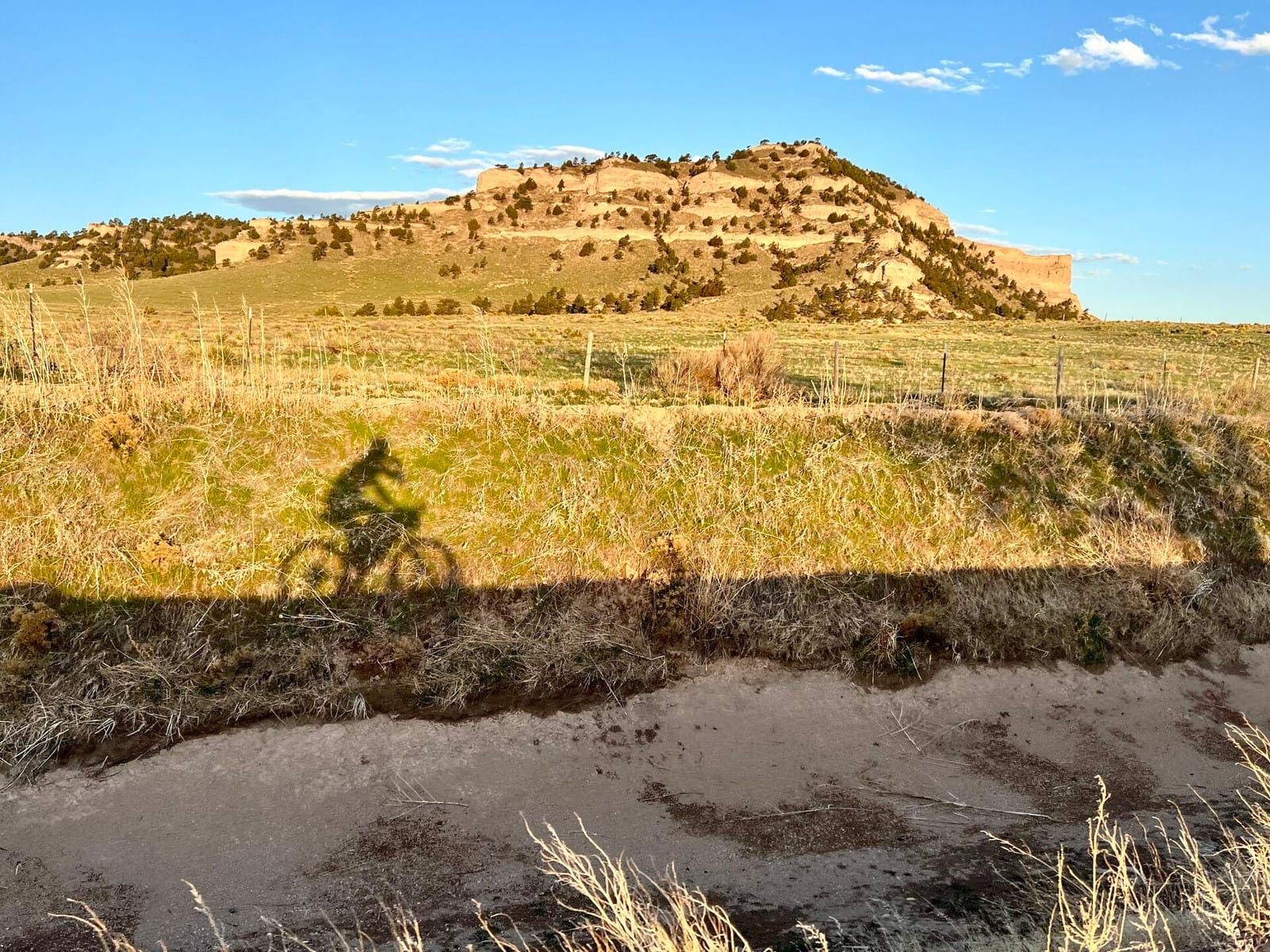 Bridging Tradition and Technology: Nebraska Sandhills Ranch Brings AI to the Super Bowl