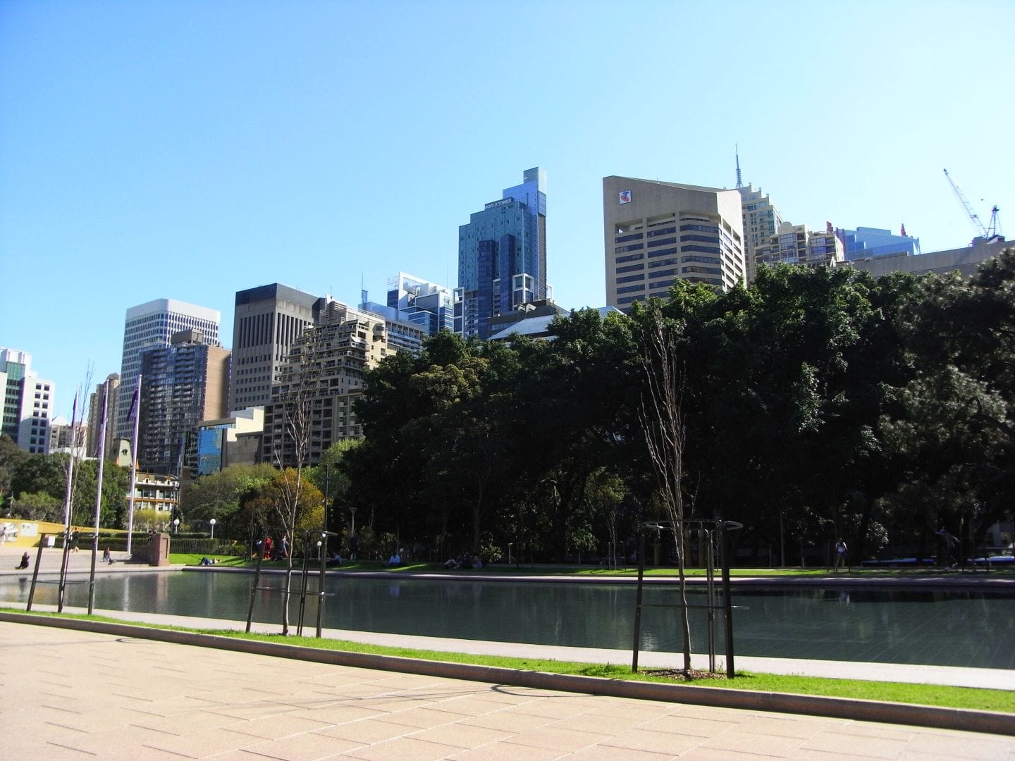 102 Snakes Discovered and Removed From a Sydney Garden in Unprecedented Case