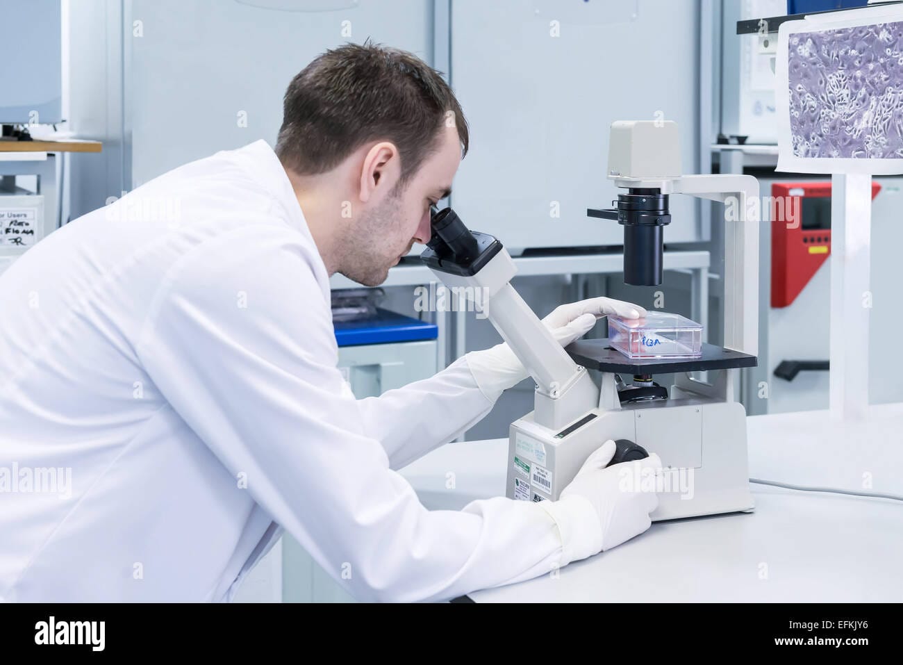 Breakthrough Discovery: New Drug Shows Promise in Cancer Treatment