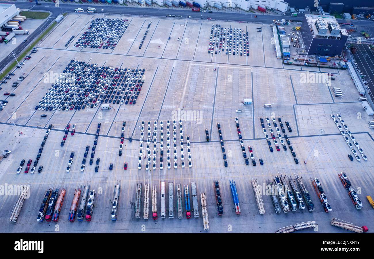Market Eagerly Anticipates US-China Discussions as Tesla Eyes Strategic Expansion