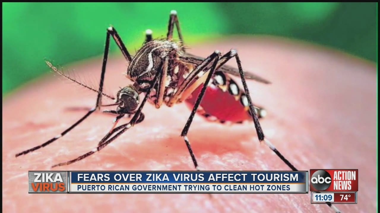 Zika Virus Resurfaces in Popular U.S. Tourist Destination After Six Years