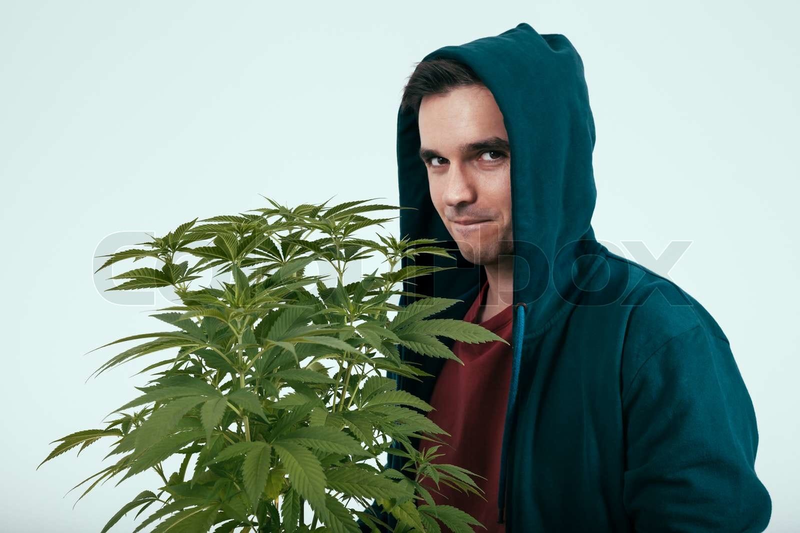 Unexpected Health Concerns Linked to Cannabis Consumption