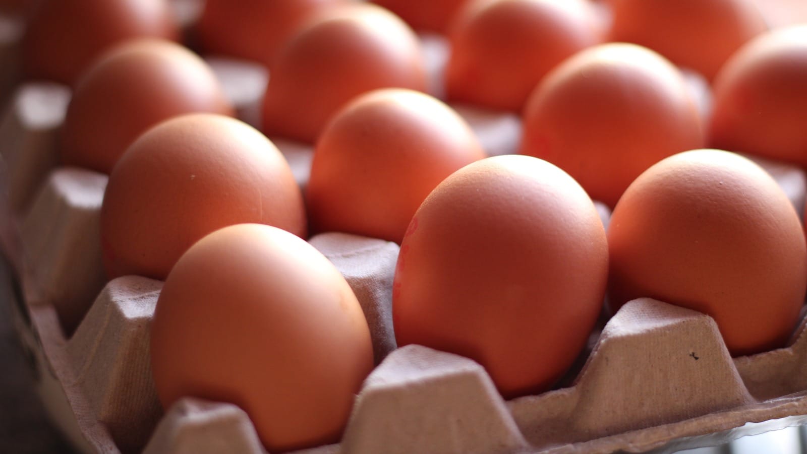 Nationwide Salmonella Outbreak Linked to Eggs Affects Multiple States